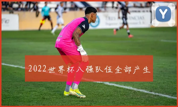 2022世界杯八强队伍全部产生
