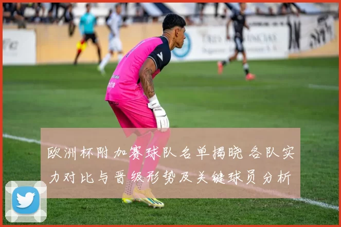 欧洲杯附加赛球队名单揭晓 各队实力对比与晋级形势及关键球员分析