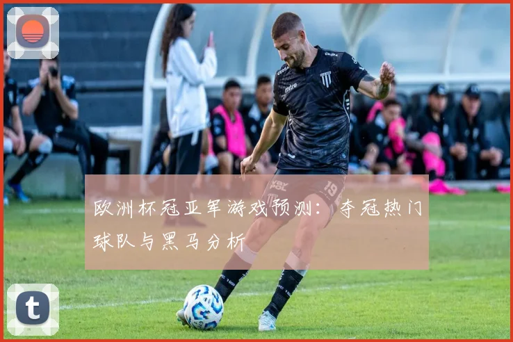 欧洲杯冠亚军游戏预测:夺冠热门球队与黑马分析