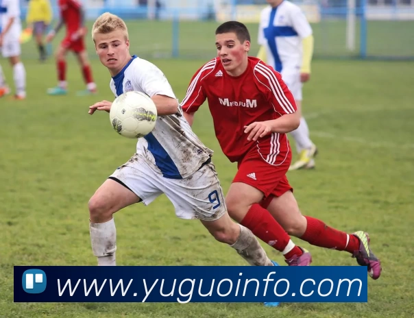 星空体育·星空官方网站 - 星空online(中国)平台生态图